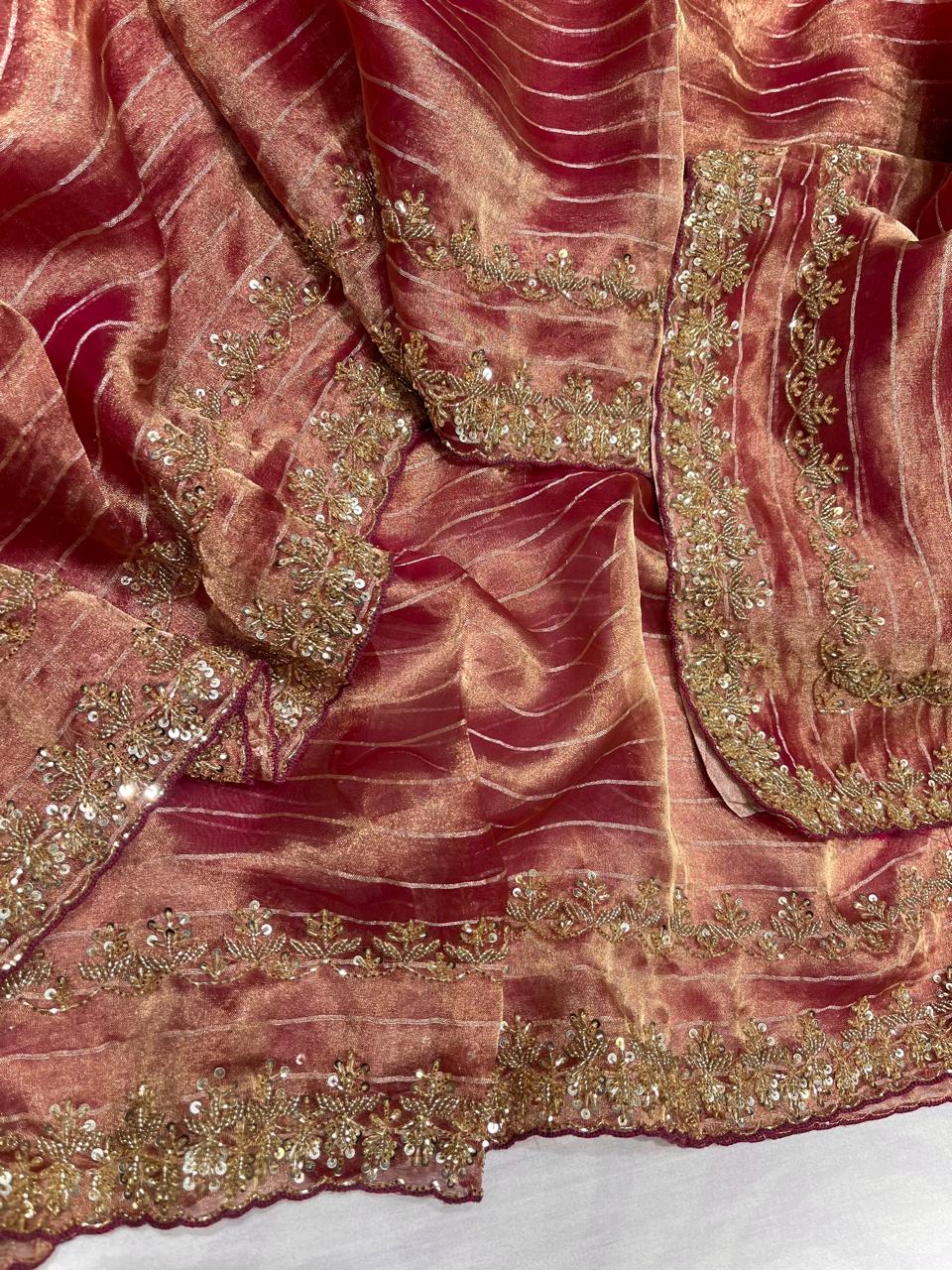 Rumika Tissue Saree Organza Saree Indian Sari