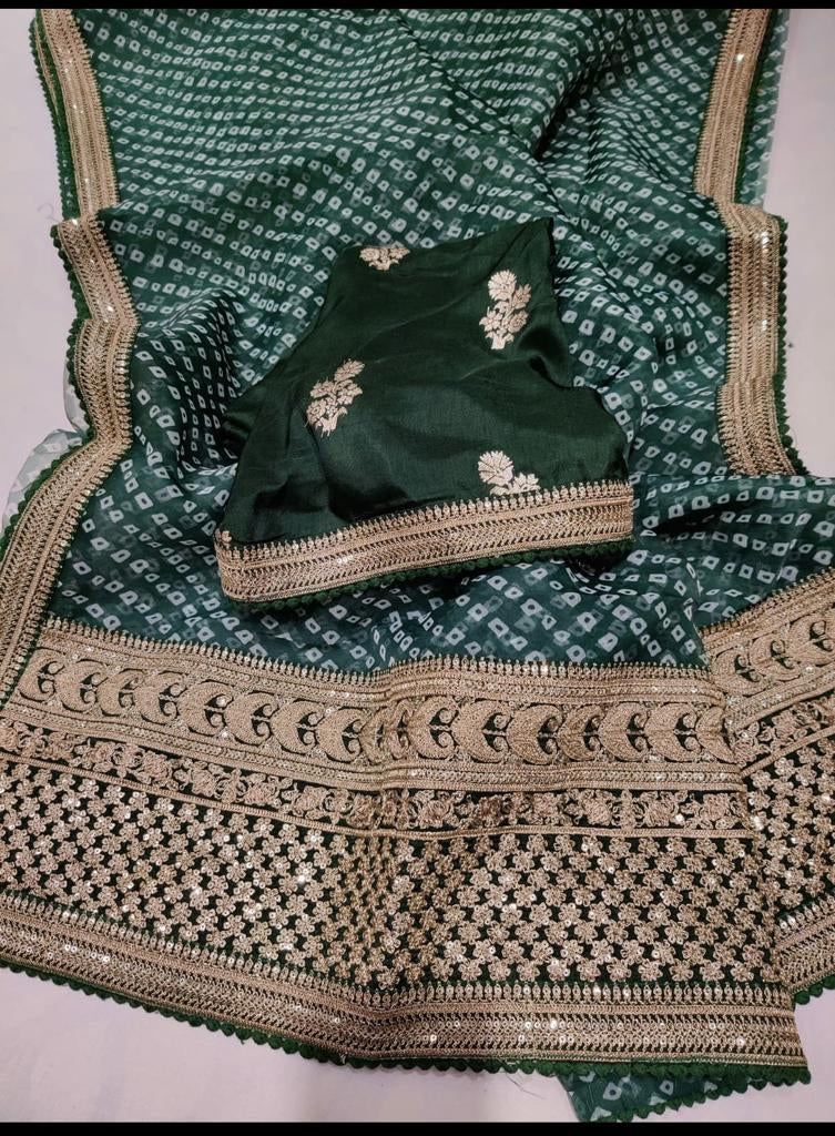 Mahima organza Indian saree