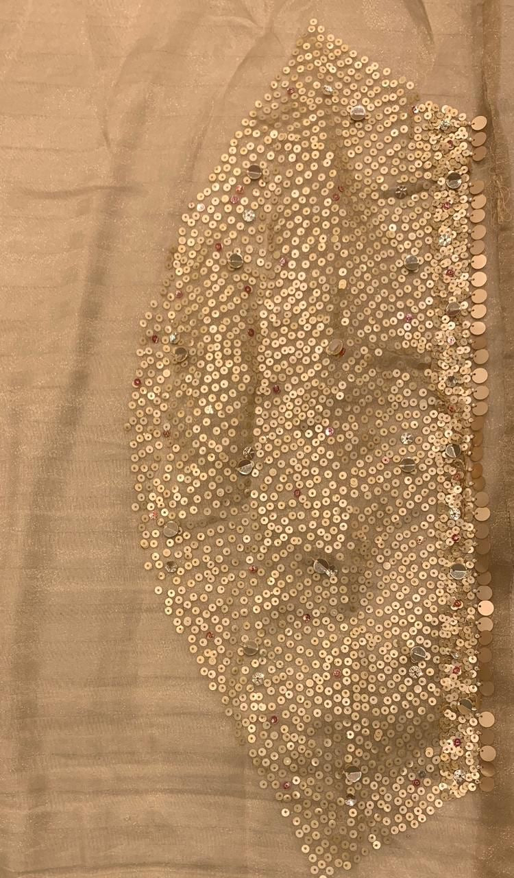 Ruhmani saree organza partywear sarees