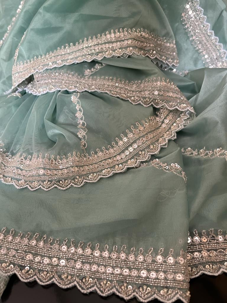 Katdana organza partywear saree