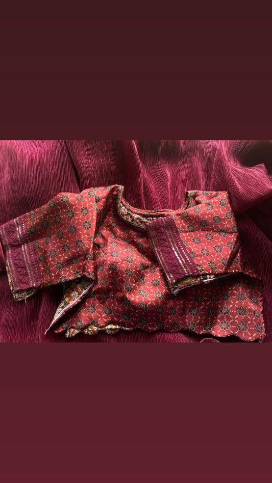 Stylo partywear saree/sari