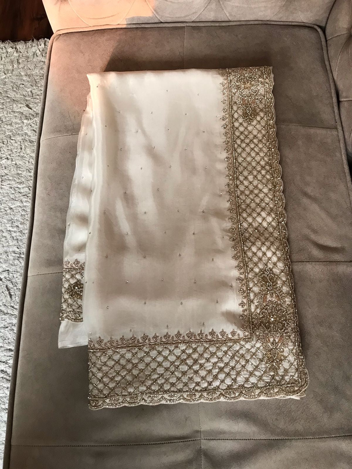 Lavisha Organza silk saree draping saree Beautiful sari blouse