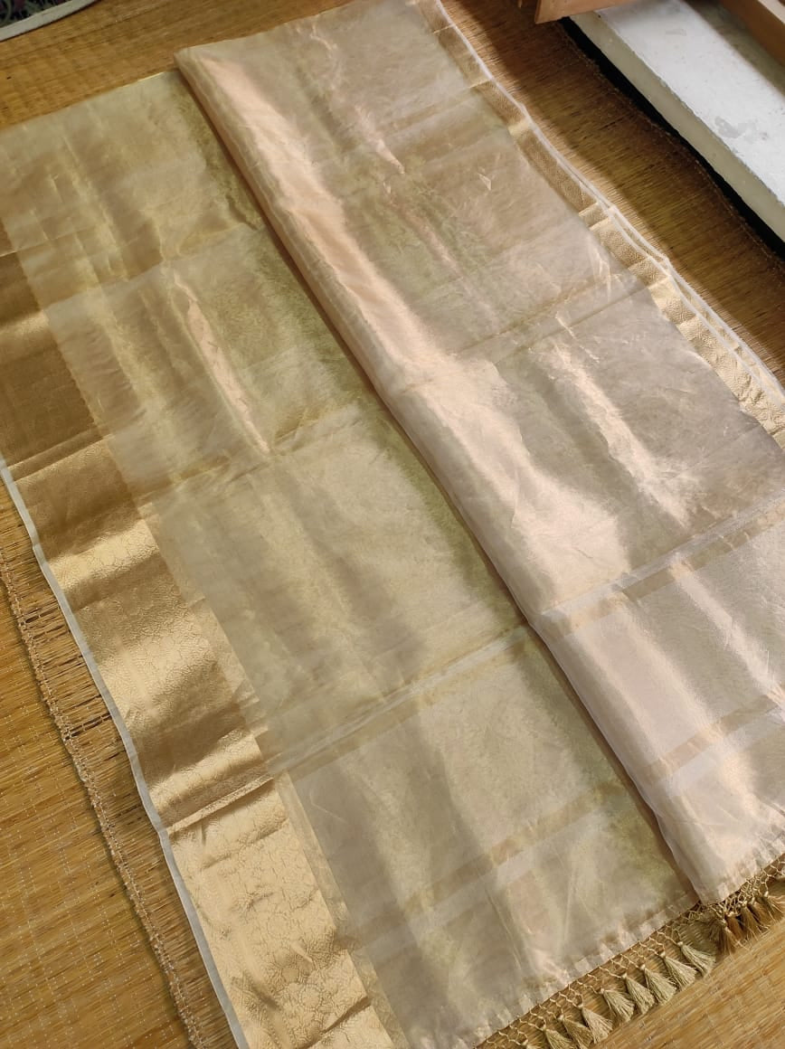 Ravina tissue organza silk sarees Indian sari