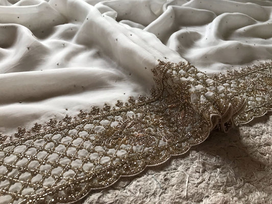 Lavisha Organza silk saree draping saree Beautiful sari blouse