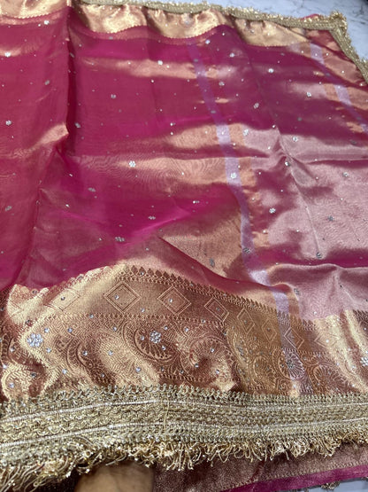 Tissue silk handmade Banarsi tissue lace sarees