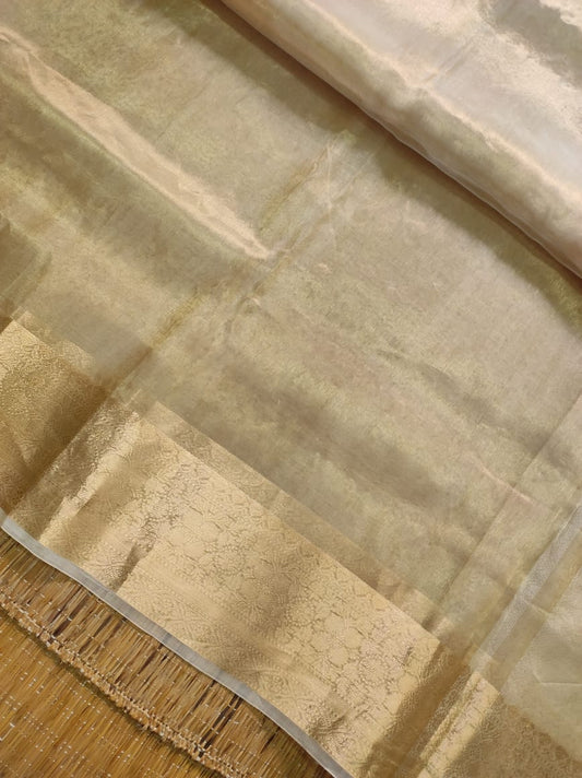 Ravina tissue organza silk sarees Indian sari