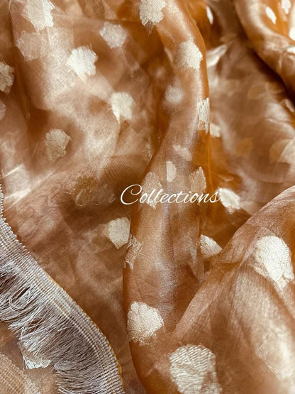 Rihani tissue silk weaving saree trendy sari