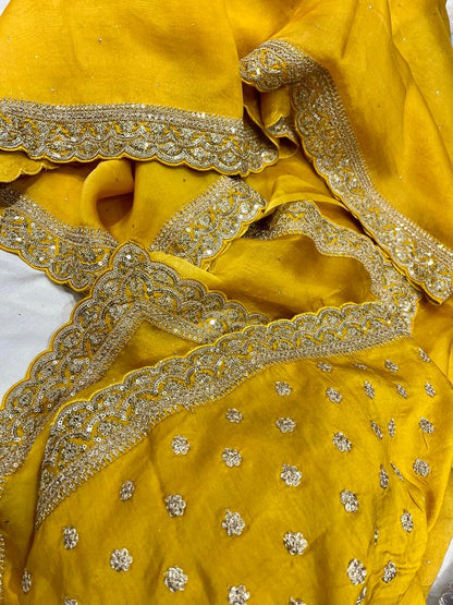 Rivaaz traditional Indian organza saree