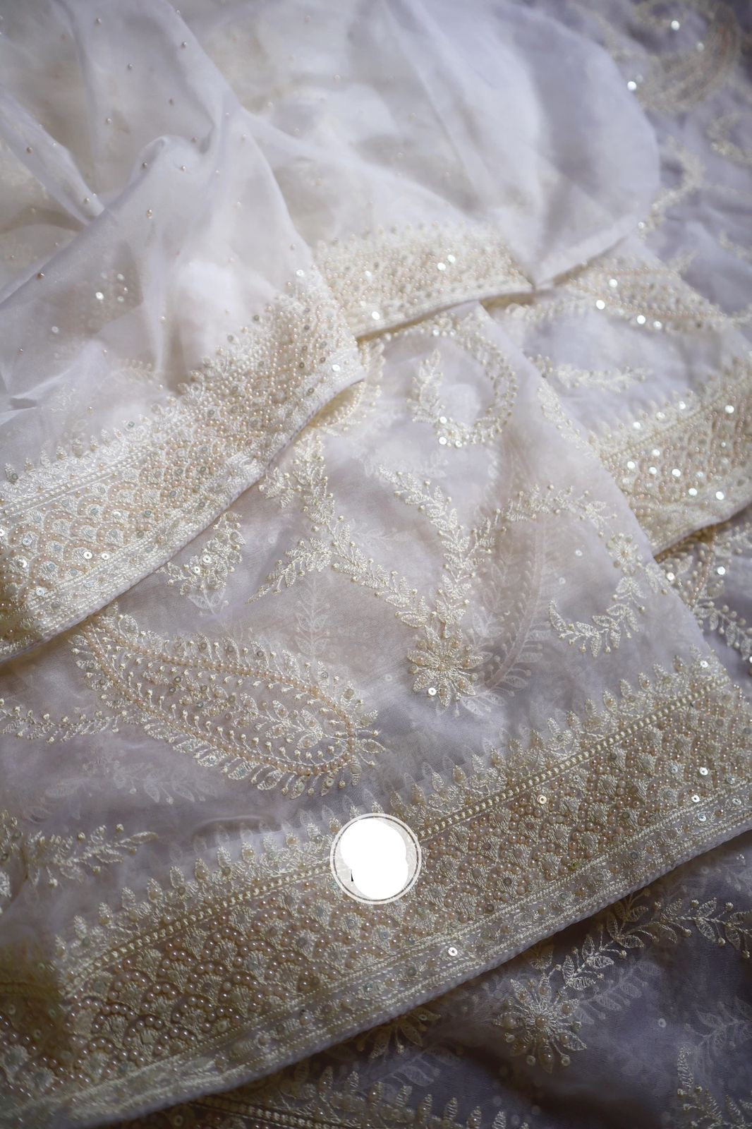 White gracious saree organza saree Chikankari sarees