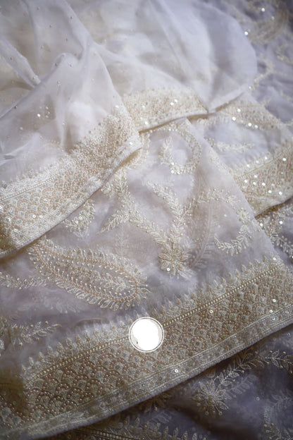 White gracious saree organza saree Chikankari sarees