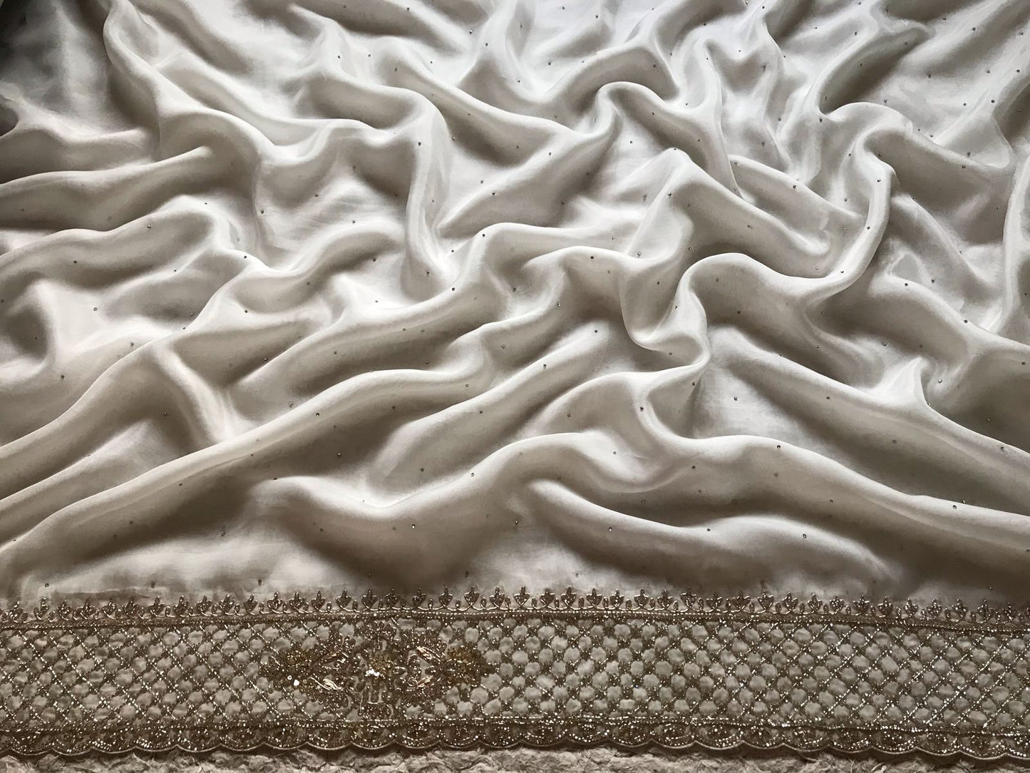 Lavisha Organza silk saree draping saree Beautiful sari blouse