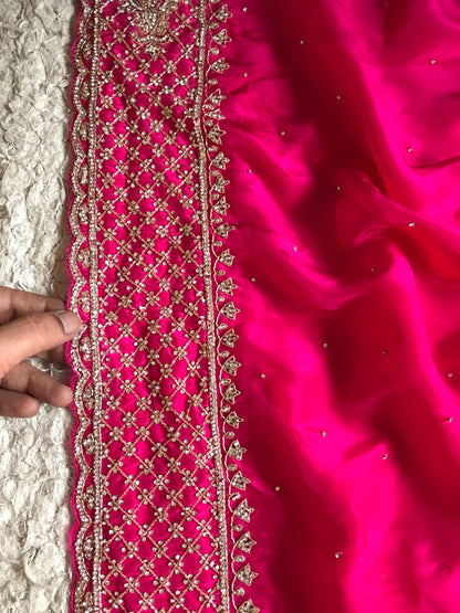 Lavisha Organza silk saree draping saree Beautiful sari blouse