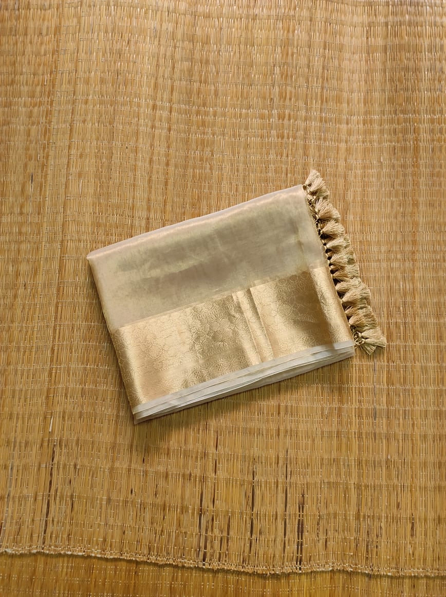 Ravina tissue organza silk sarees Indian sari
