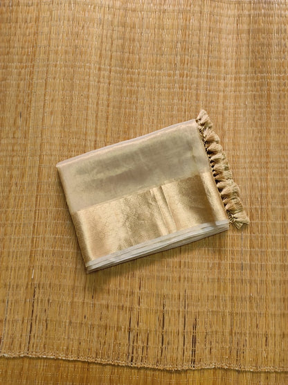 Ravina tissue organza silk sarees Indian sari