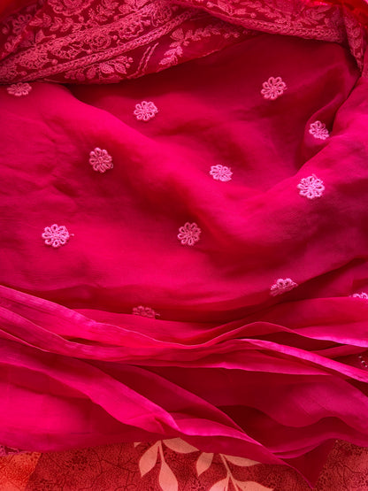 Red Chikankari saree Indian saree blouse Gorgette sari