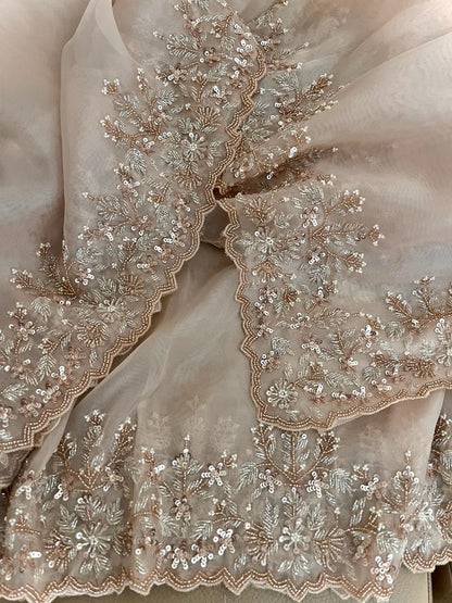 Zinita tissue organza saree partywear saree