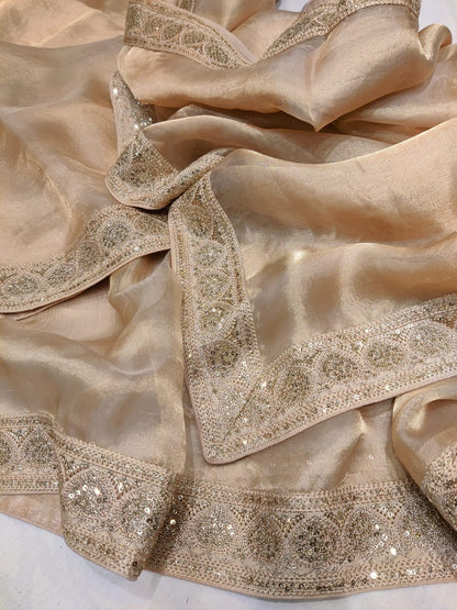 Sequence tissue organza sarees beautiful saree