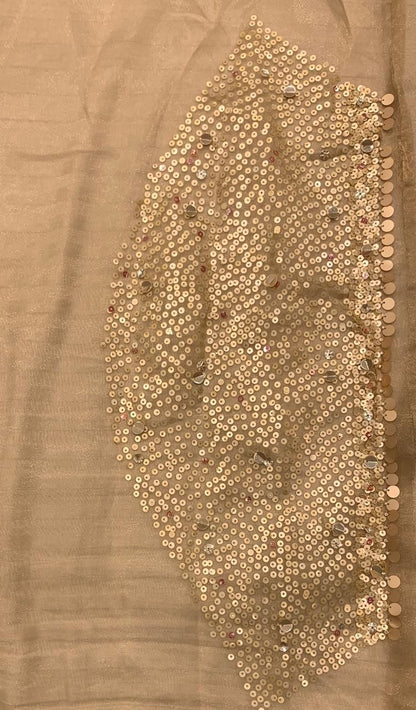 Ruhmani saree organza partywear sarees