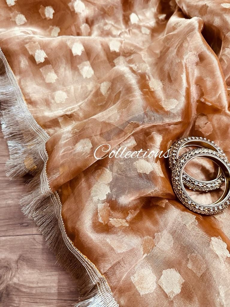 Rihani tissue silk weaving saree trendy sari