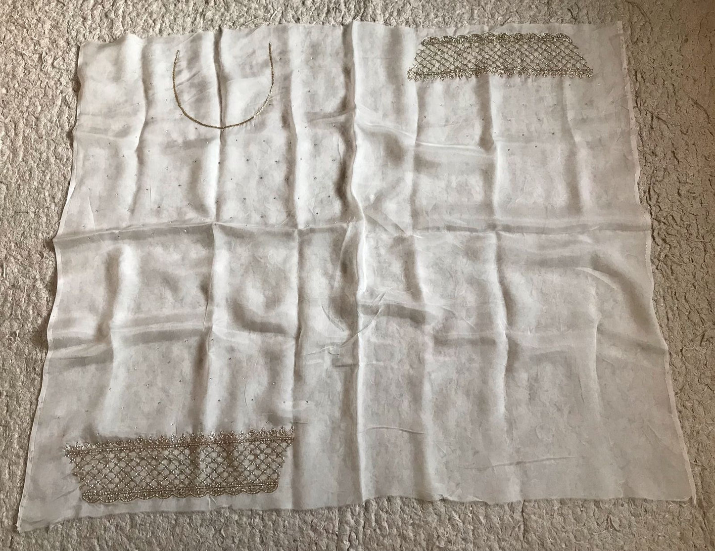 Lavisha Organza silk saree draping saree Beautiful sari blouse