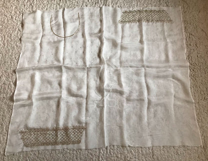 Lavisha Organza silk saree draping saree Beautiful sari blouse