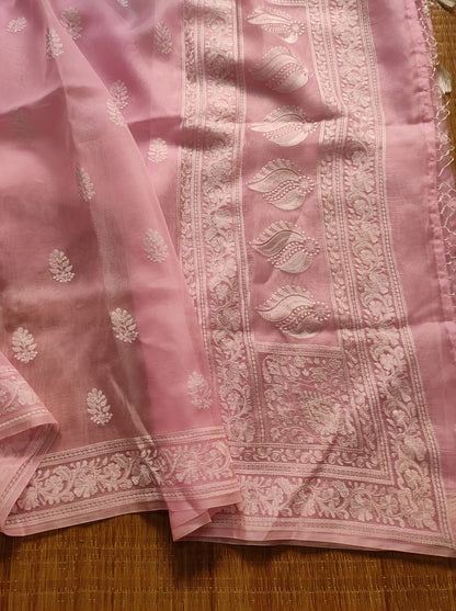 Organza Chikankari saree Indian saree