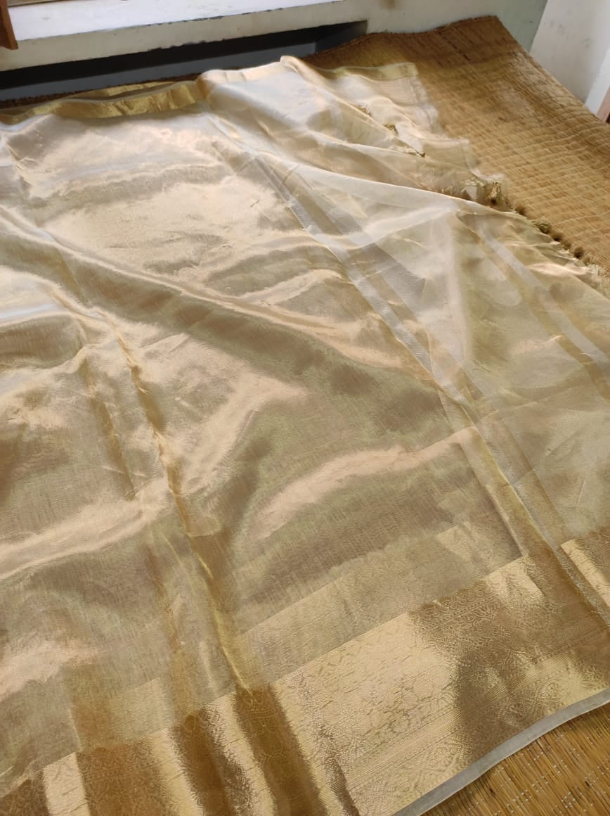 Ravina tissue organza silk sarees Indian sari