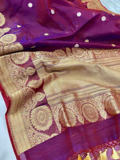 Bani scalloped bordered Kora exclusive saree