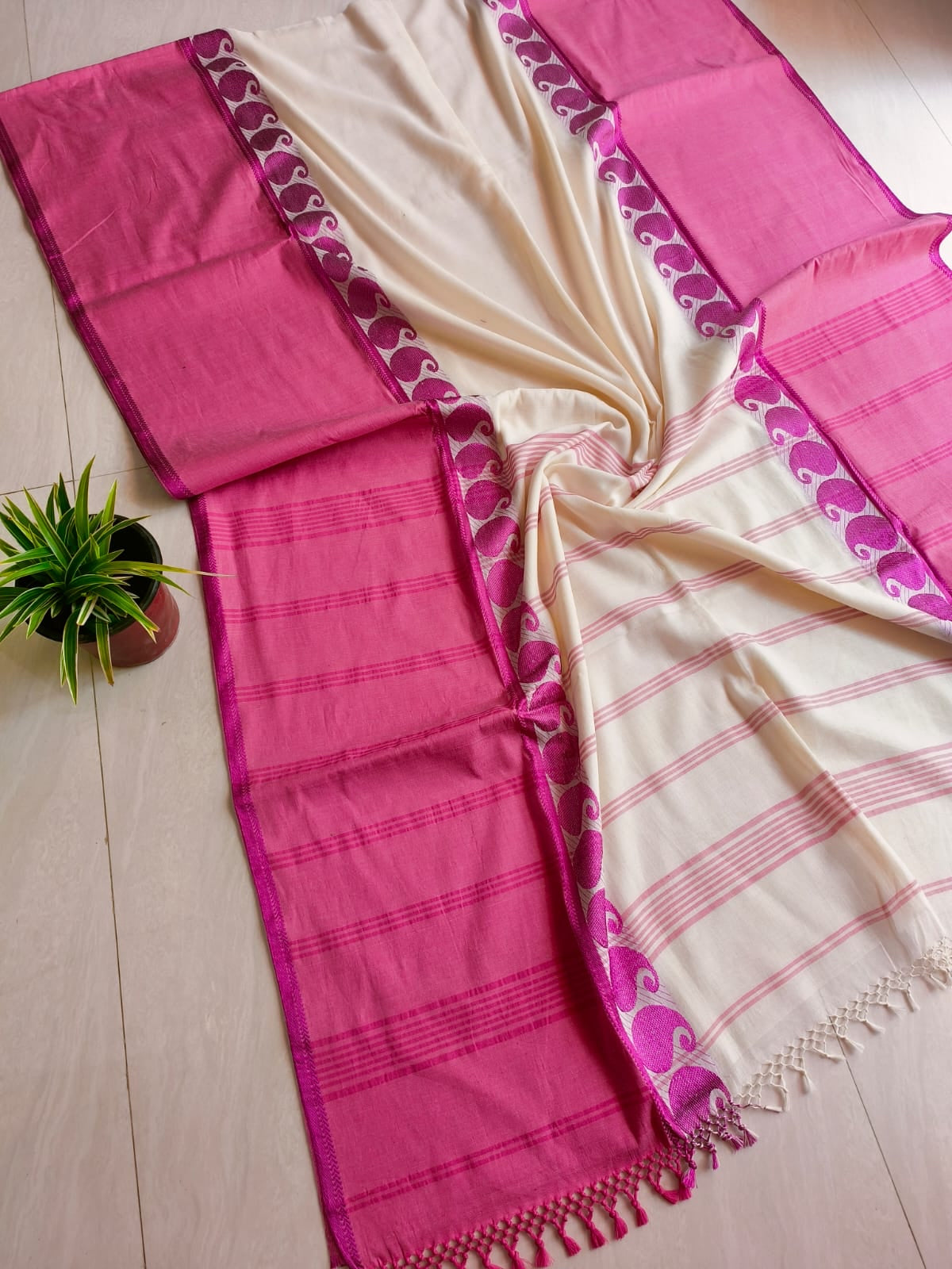 Mahii Bengal cotton handwoven saree
