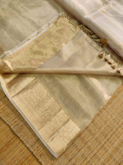 Ravina tissue organza silk sarees Indian sari