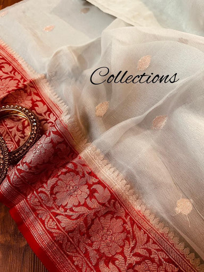 Chiffon Banarsi sexy women sari