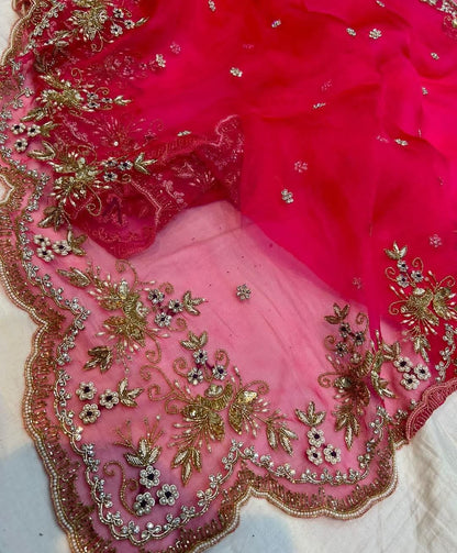 Novi organza partywear wedding  saree