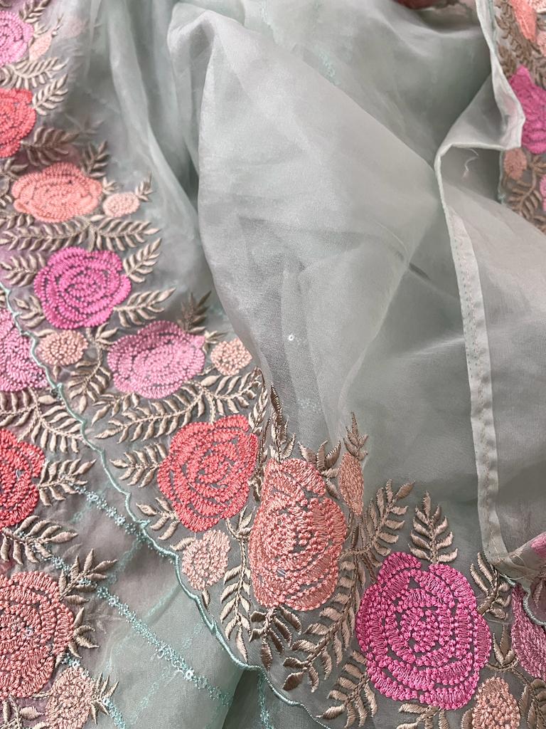 Lindia organza sequence saree