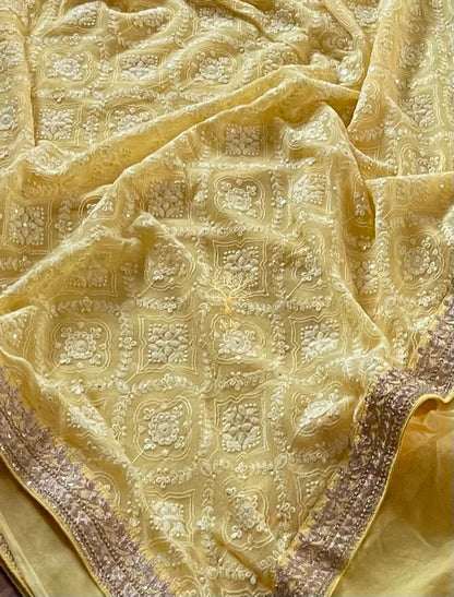 Lisa chikankari gorgette saree