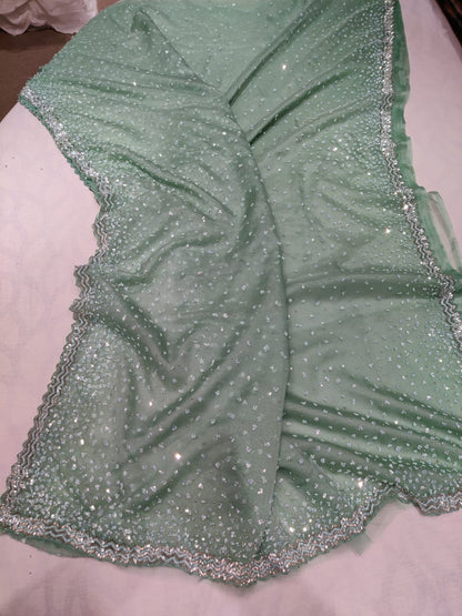 Rashim organza sequence saree
