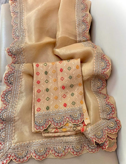 Ramia Meenakari tissue organza saree