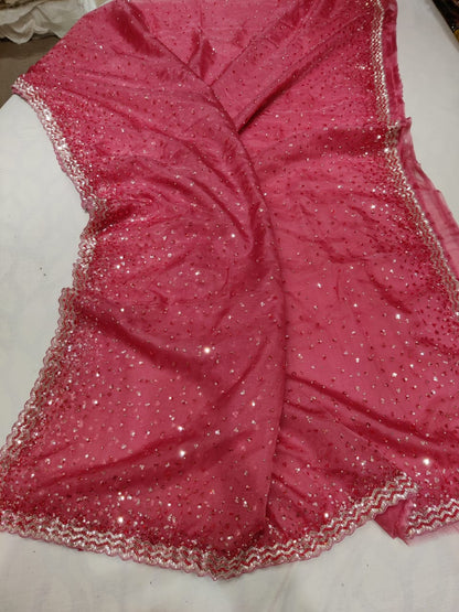 Rashim organza sequence saree