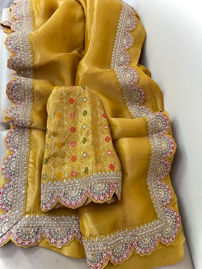 Ramia Meenakari tissue organza saree