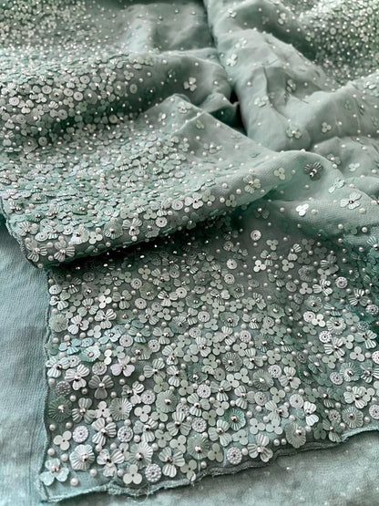 Ramisha gorgette beautiful women saree
