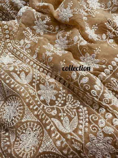Norah gorgette Chikankari saree