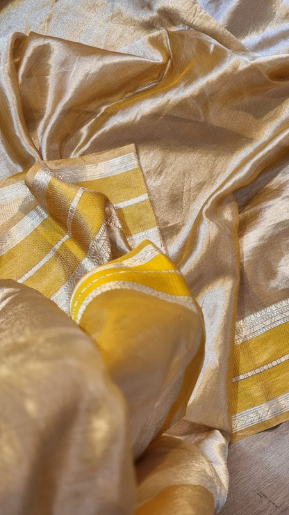 Niva tissue organza beautiful saree