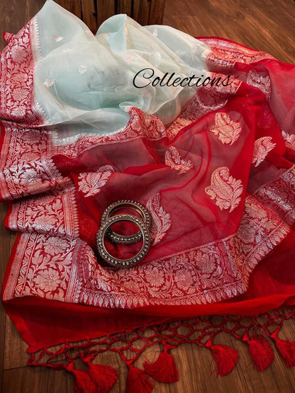 Chiffon Banarsi sexy women sari