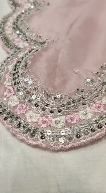 Sequence organza embroidery saree