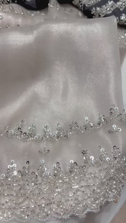 Zain’s tissue organza saree