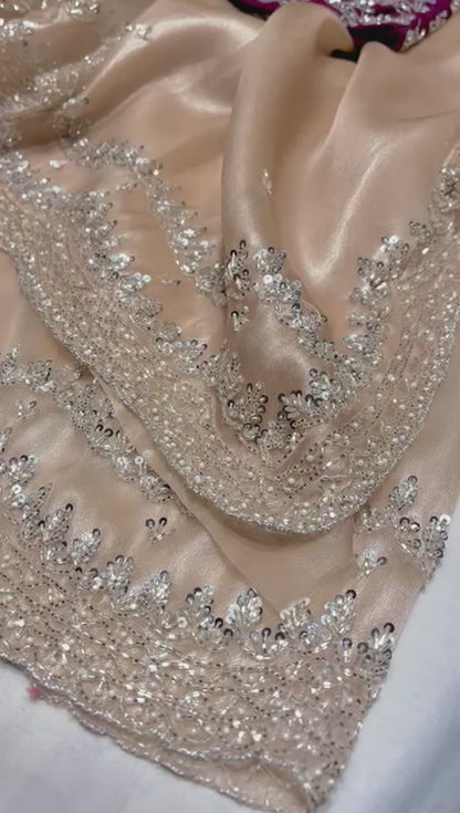 Zain’s tissue organza saree