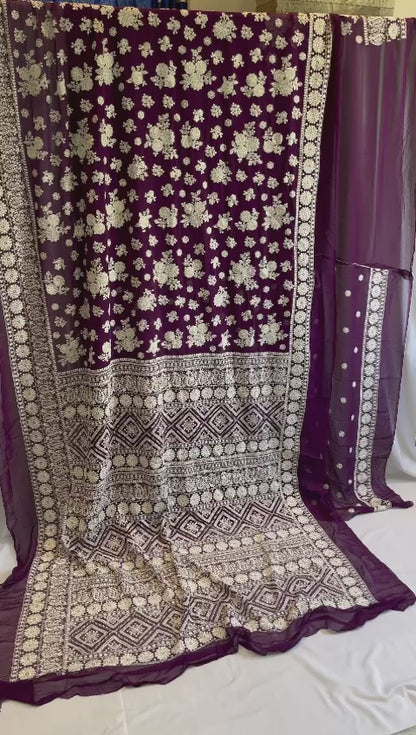 Nora chikankari gorgeous saree