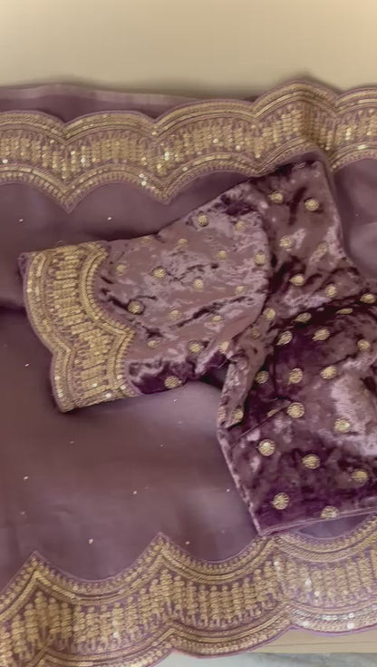 Lisa organza saree