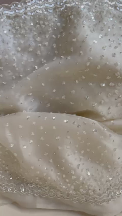 Susan organza katdana saree