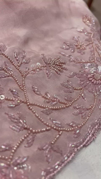 Alicia organza embroidered saree