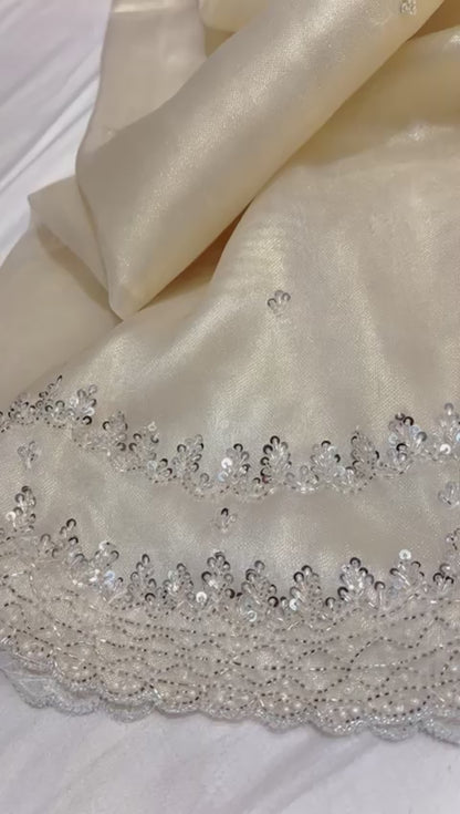 Zain’s tissue organza saree